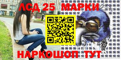 гидропоника Волжск