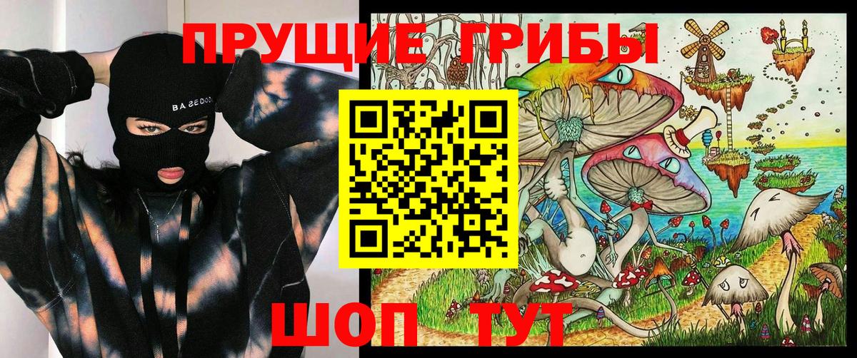 Псилоцибиновые грибы Cubensis Бор