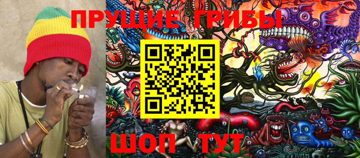 Псилоцибиновые грибы Psilocybine cubensis  где купить   Бор  Вход с VPN 